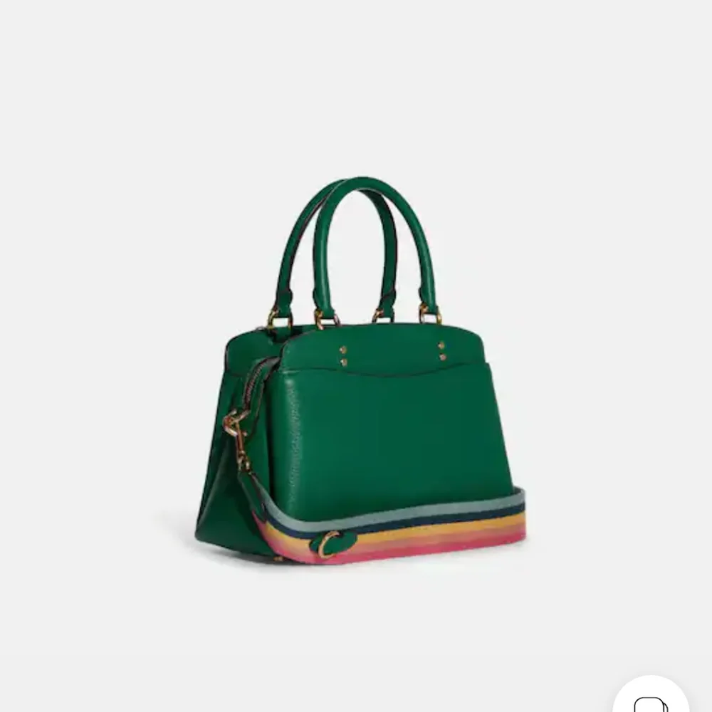 Coach mini Lillie carryall with Diary Embroidery Bag - Picture 7 of 14